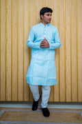 Elegant Sky Blue Printed Cotton Kurta(2679)