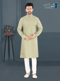 Pista Green Textured Festive Kurta – Elegant Ethnic Wear for Men (4250)