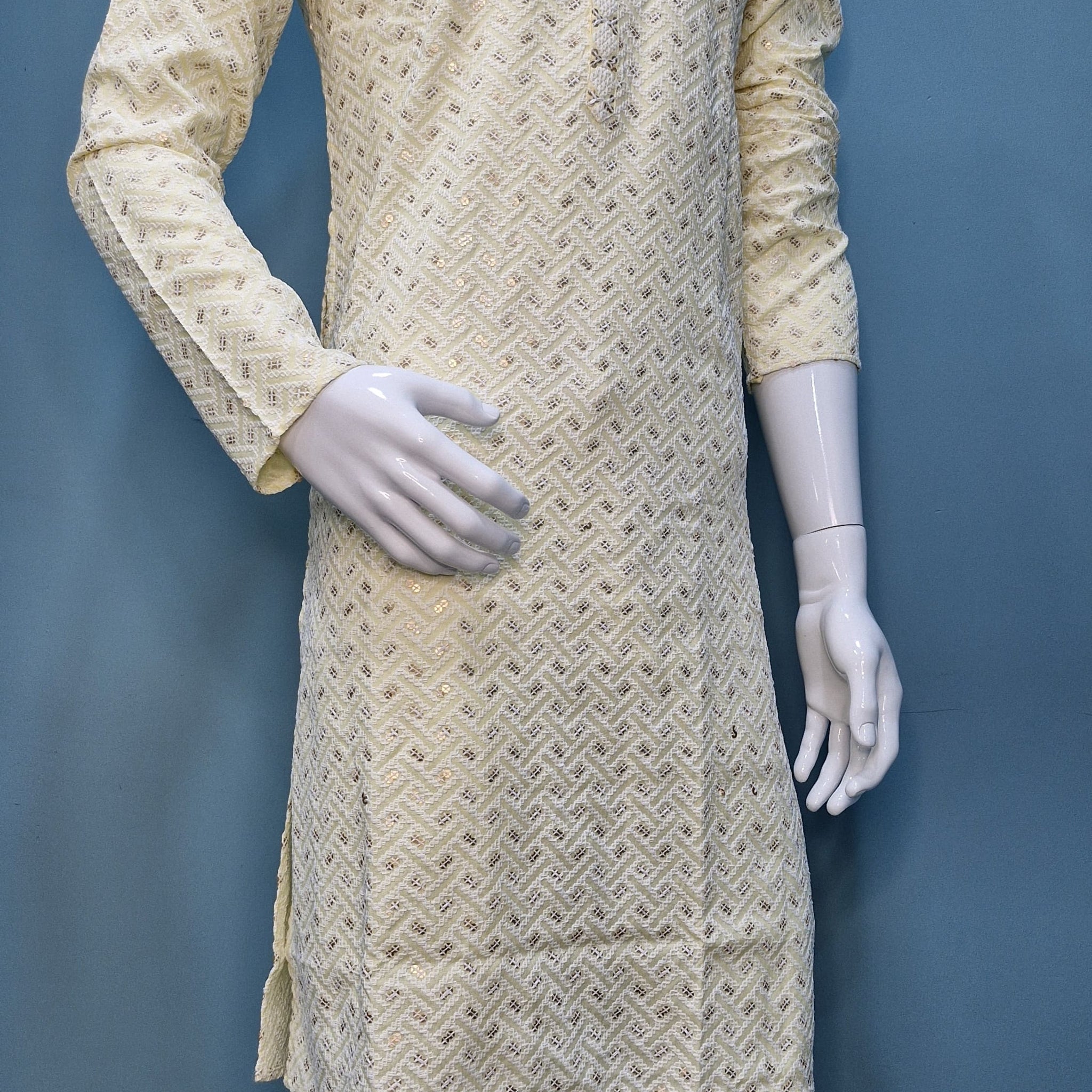 Pastel Lakhnavi Ethnic Motifs Sequinned Kurta (6332)